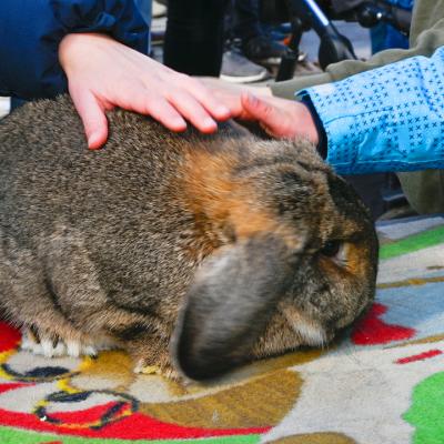 rh-foto.de Guben Ostern 2022